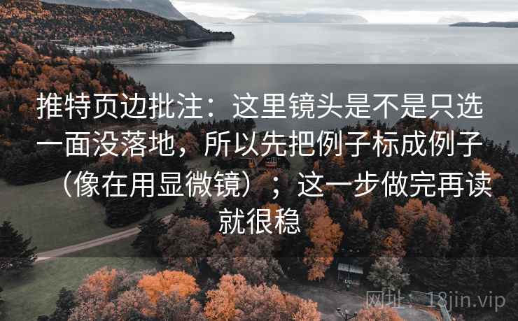 推特页边批注：这里镜头是不是只选一面没落地，所以先把例子标成例子（像在用显微镜）；这一步做完再读就很稳